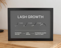 Lash Extension Growth Cycle Chart - 4 colors Easy to Print Digital JPEG and PNG Files | Growth Cycle Infographic for Eyelash Artist & Salon